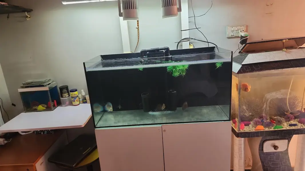 Aquariums — photo 12