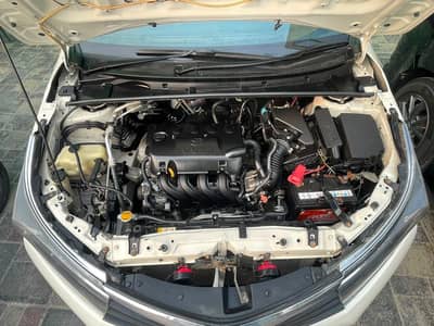 all car parts availability