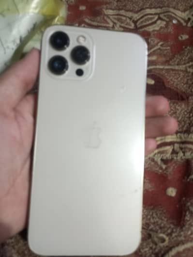Apple iPhone 12 Pro Max