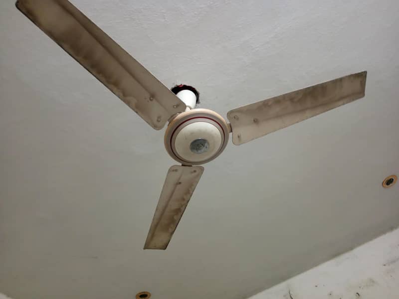 fans sell 0