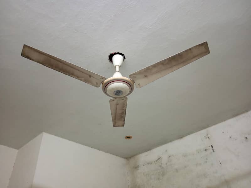 fans sell 1
