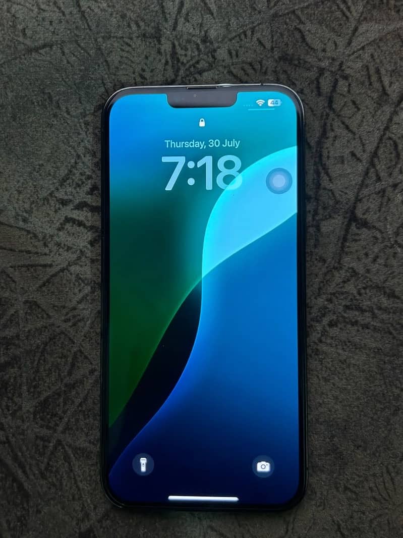 Apple iPhone 13 Pro Max 1
