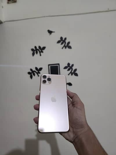 Apple iPhone 11 Pro Max non pta