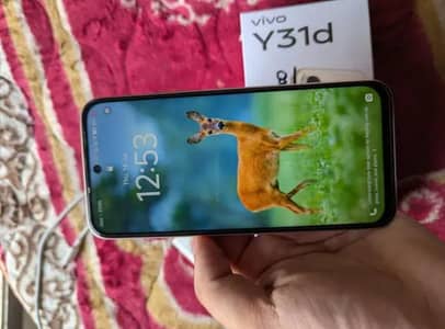 Vivo y 31 d