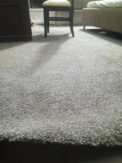 Carpet for sale