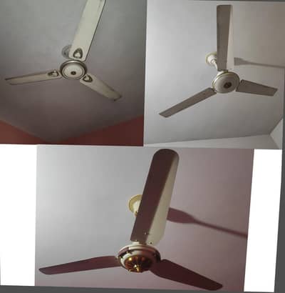 Fan 56" Total 3
