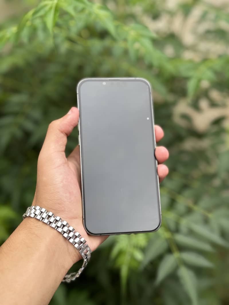 Apple iPhone 13 Pro 1