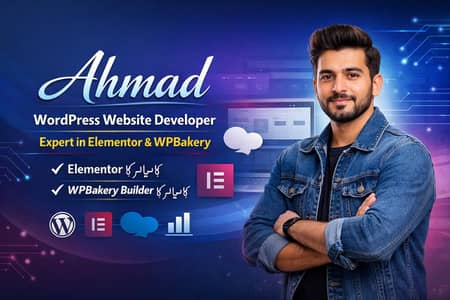 wordpress website developer