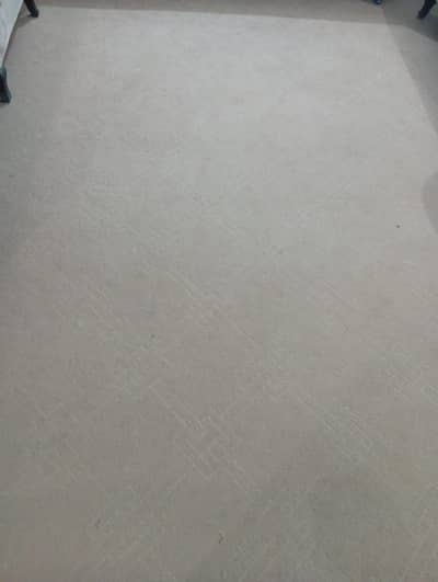 carpet light brown