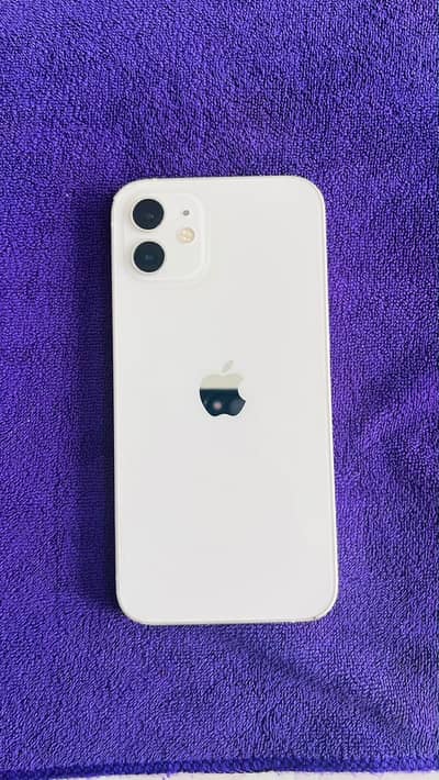 Apple iPhone 12 waterproof