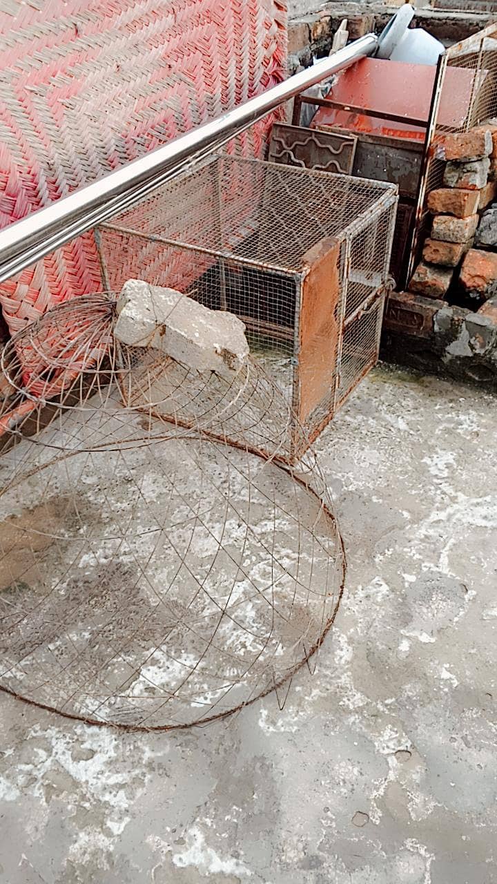 pinjara 0