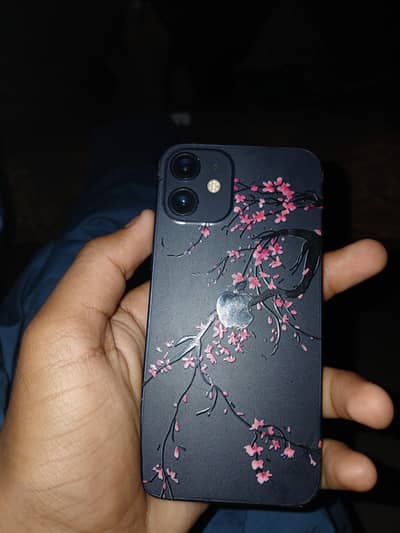 iphone 12 mini jv 64gb water pack exchange with iphone 11 pro. only ip
