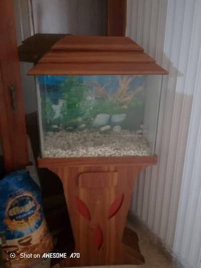 Premium Wooden Aquarium Like New