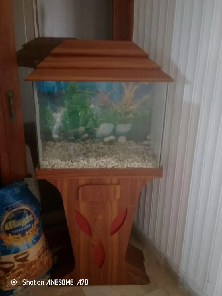 Premium Wooden Aquarium Like New — photo 2