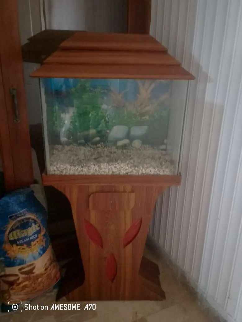 Premium Wooden Aquarium Like New — photo 3