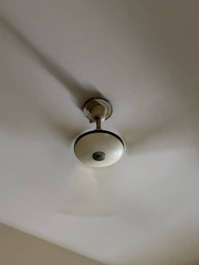 Ceiling fan