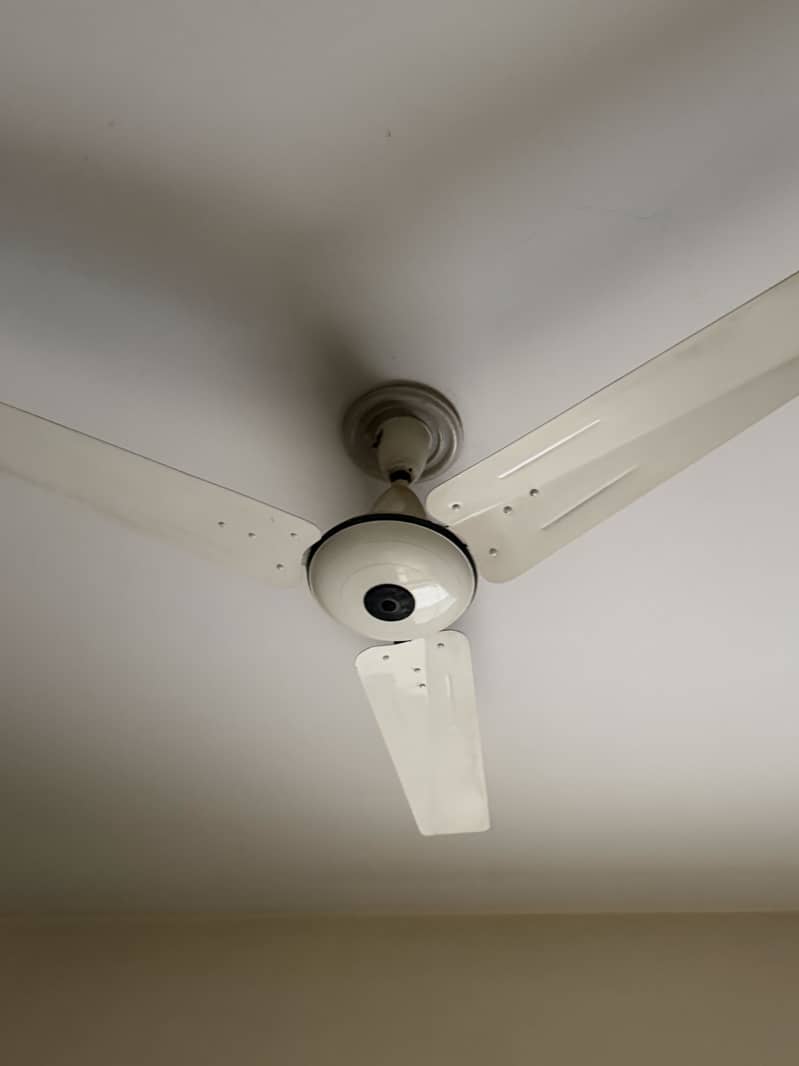 Ceiling fan 1