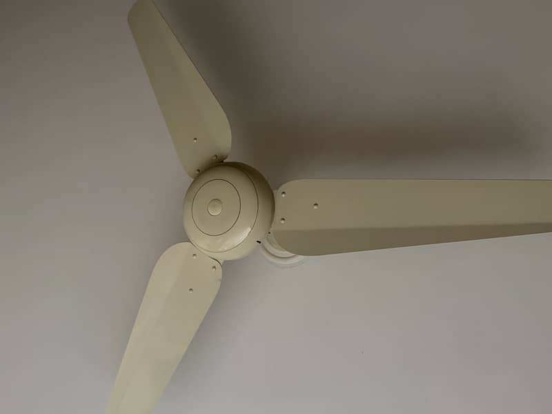 Ceiling fan 2