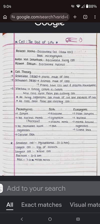 assignment writing