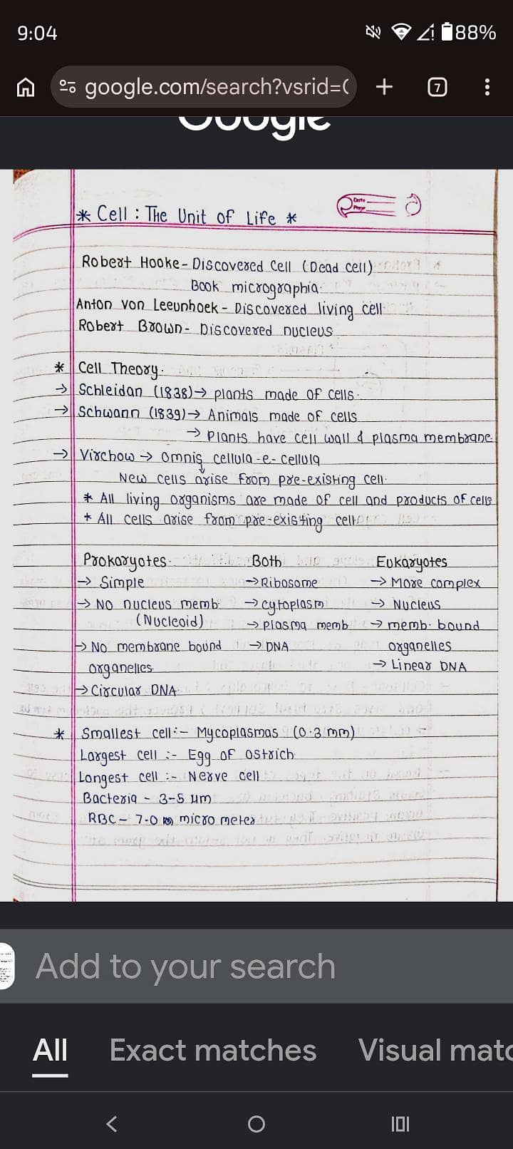 assignment writing 0