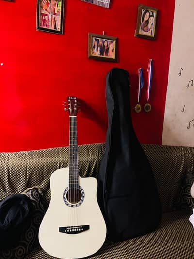 Irin acoustic guitar