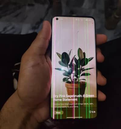 One plus 10 pro official PTA