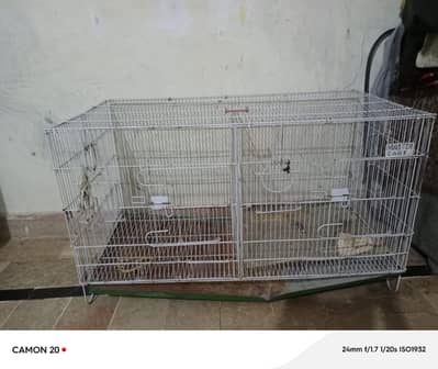 birds catage
