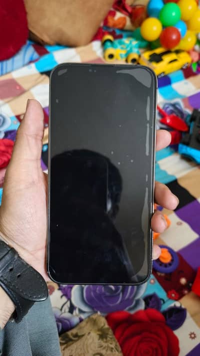Apple iPhone 13 Pro Max