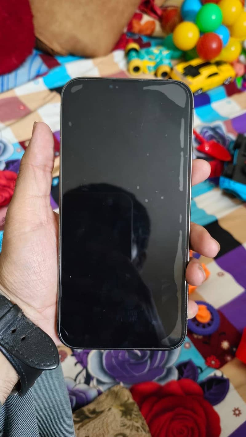 Apple iPhone 13 Pro Max 0