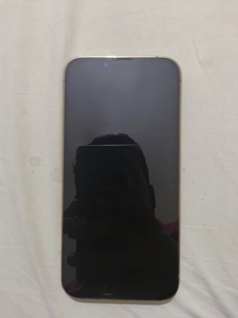 Apple iPhone 13 Pro 1