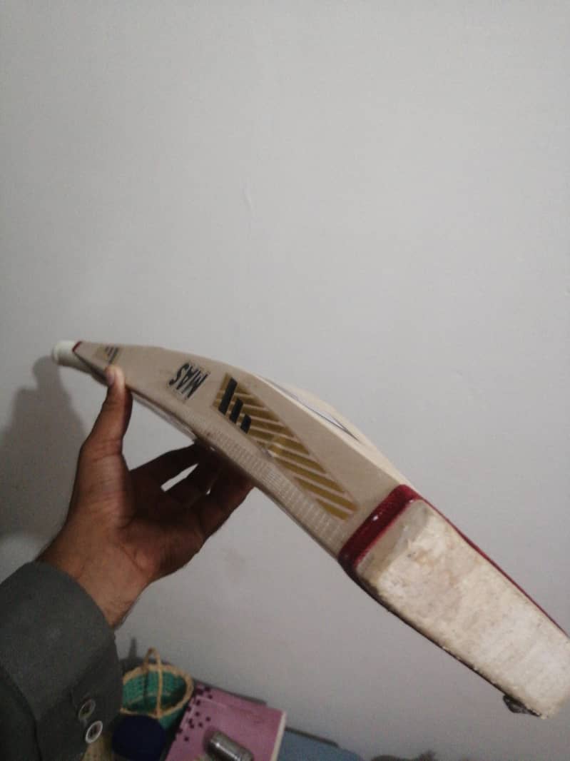 cricket bat 0