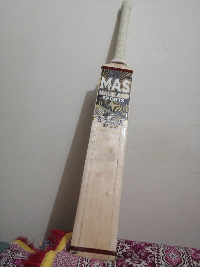 cricket bat 1