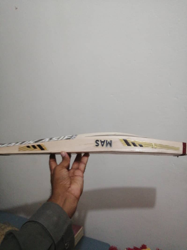 cricket bat 2