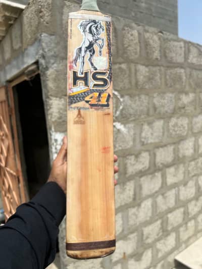 HS 41 Pro Edition Oragnal English willow bat