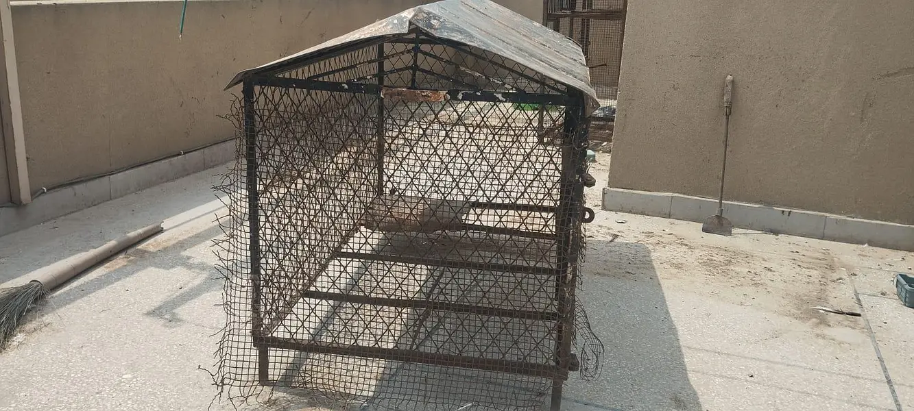 Big Iron Cage