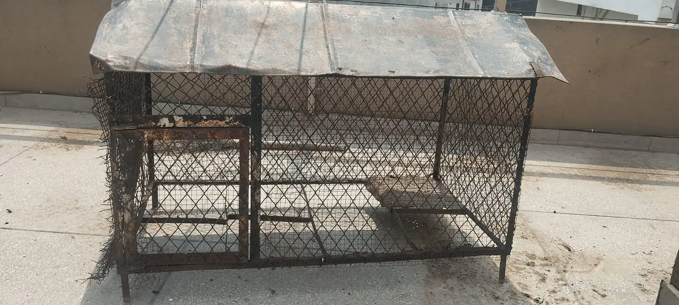 Big Iron Cage — photo 2