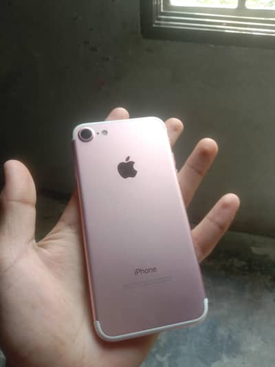iPhone 7 All ok