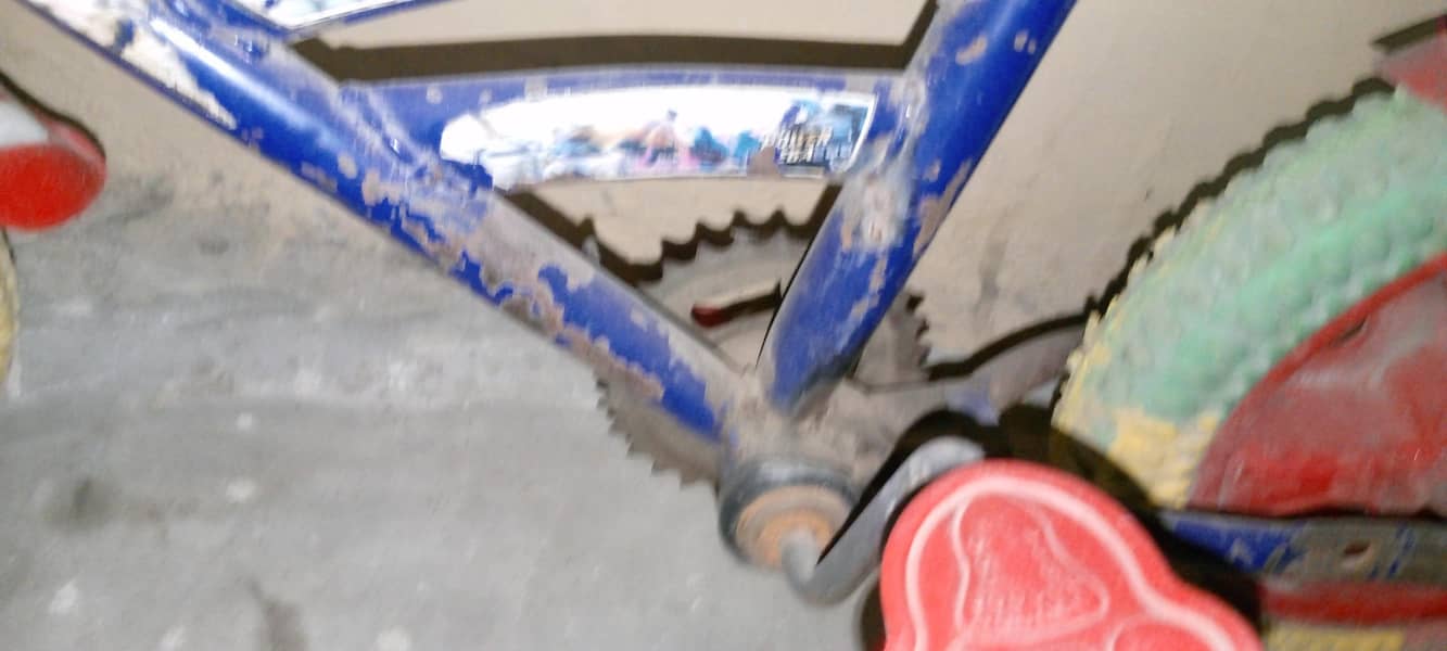 cycle 4