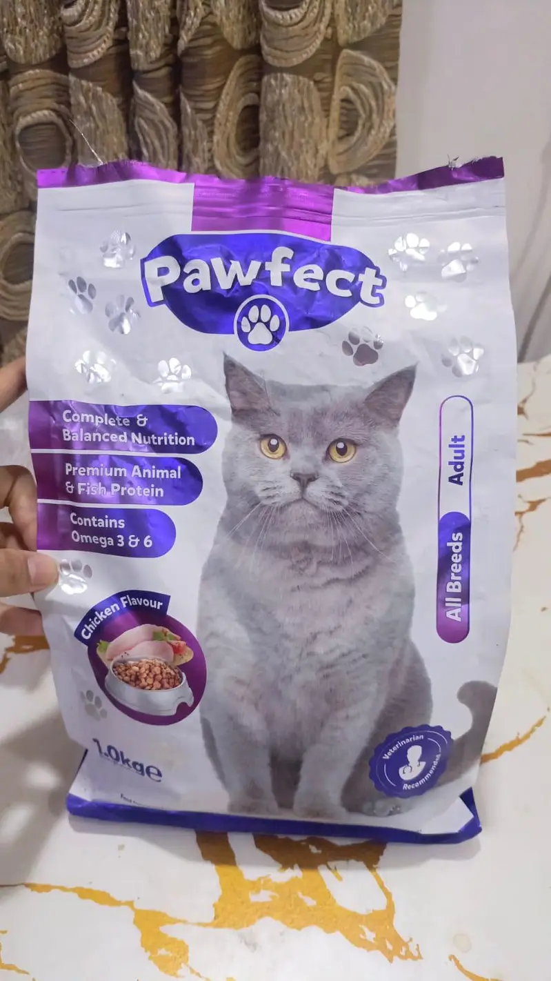 cat for sale — photo 9