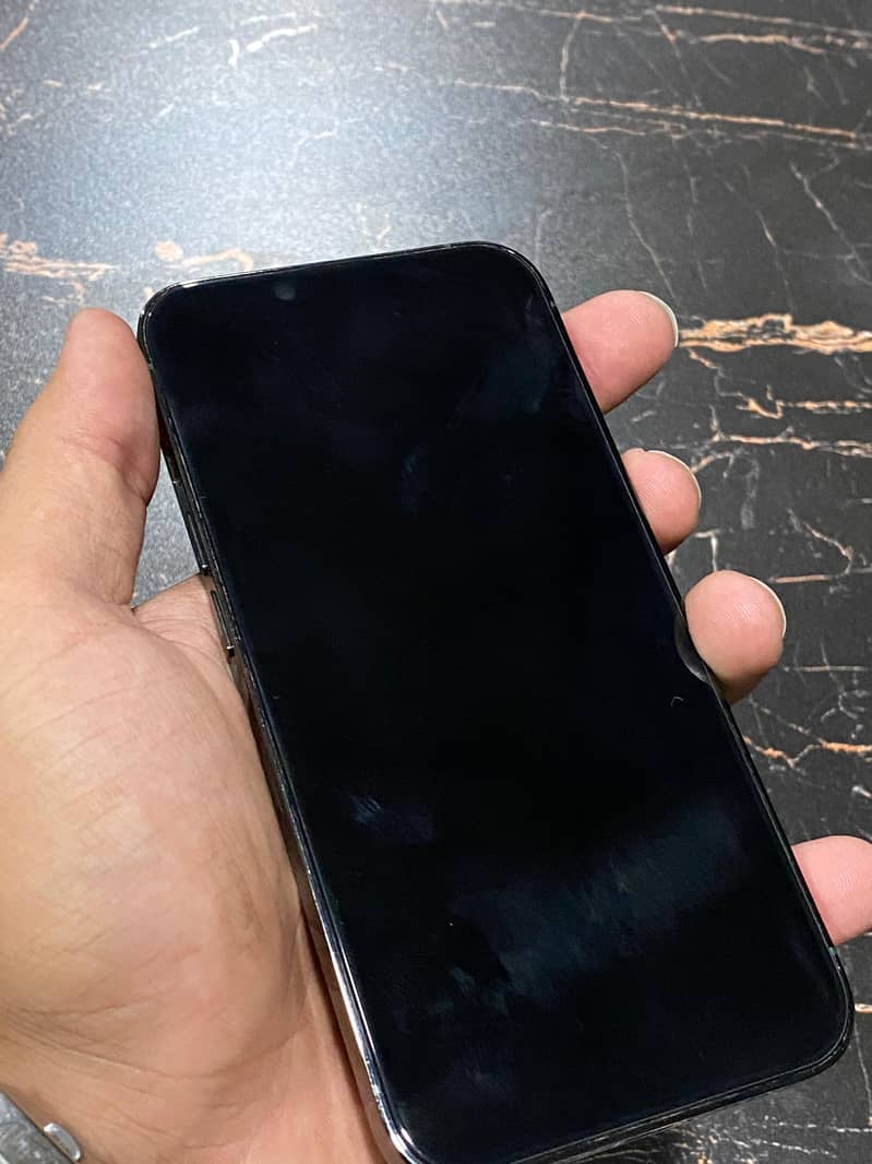 Apple iPhone 13 Pro 1