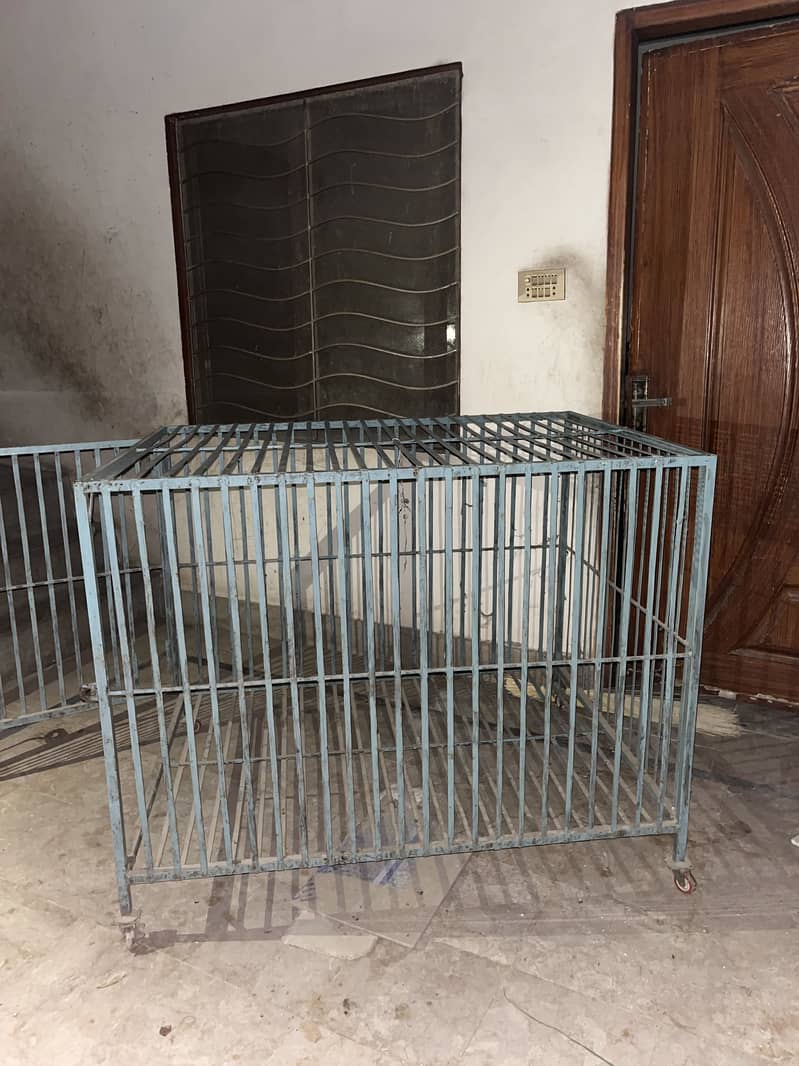 Cages 1