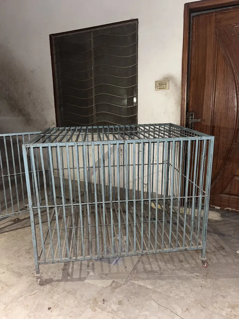 Cages — photo 2