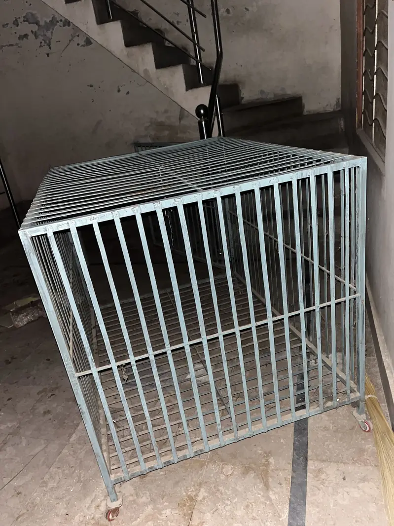 Cages — photo 3