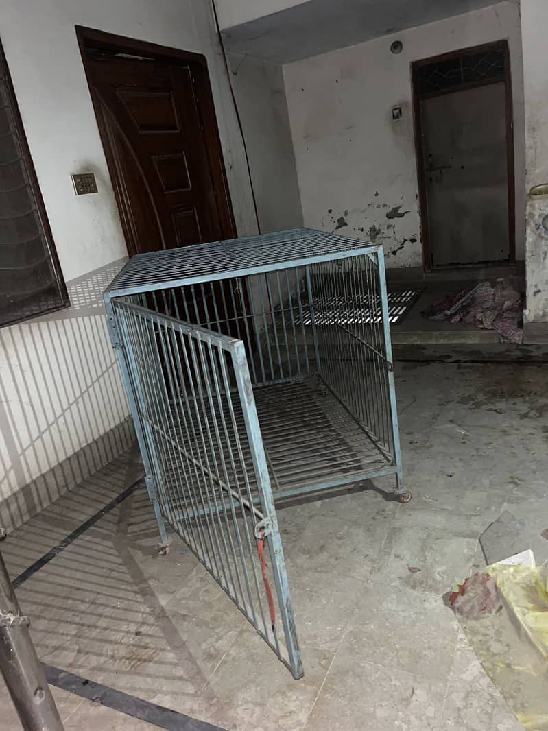 Cages 3