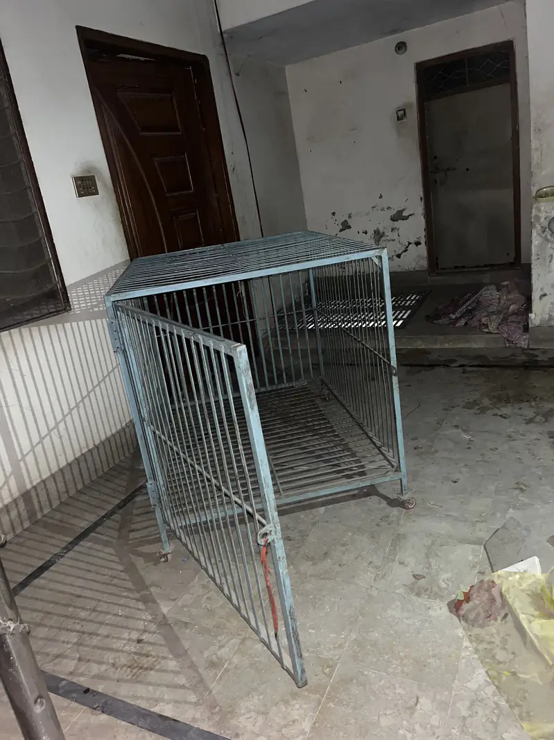 Cages — photo 4