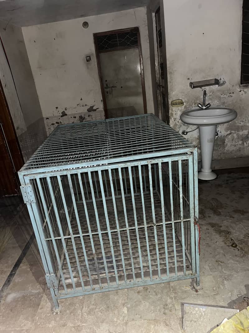 Cages 4