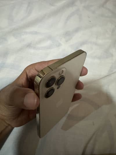 iPhone 12 Pro Max pta approved