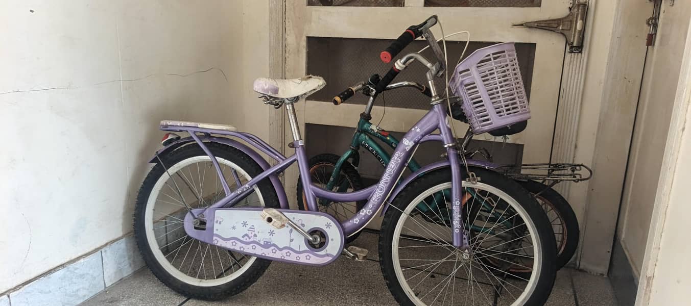 bicycle 0