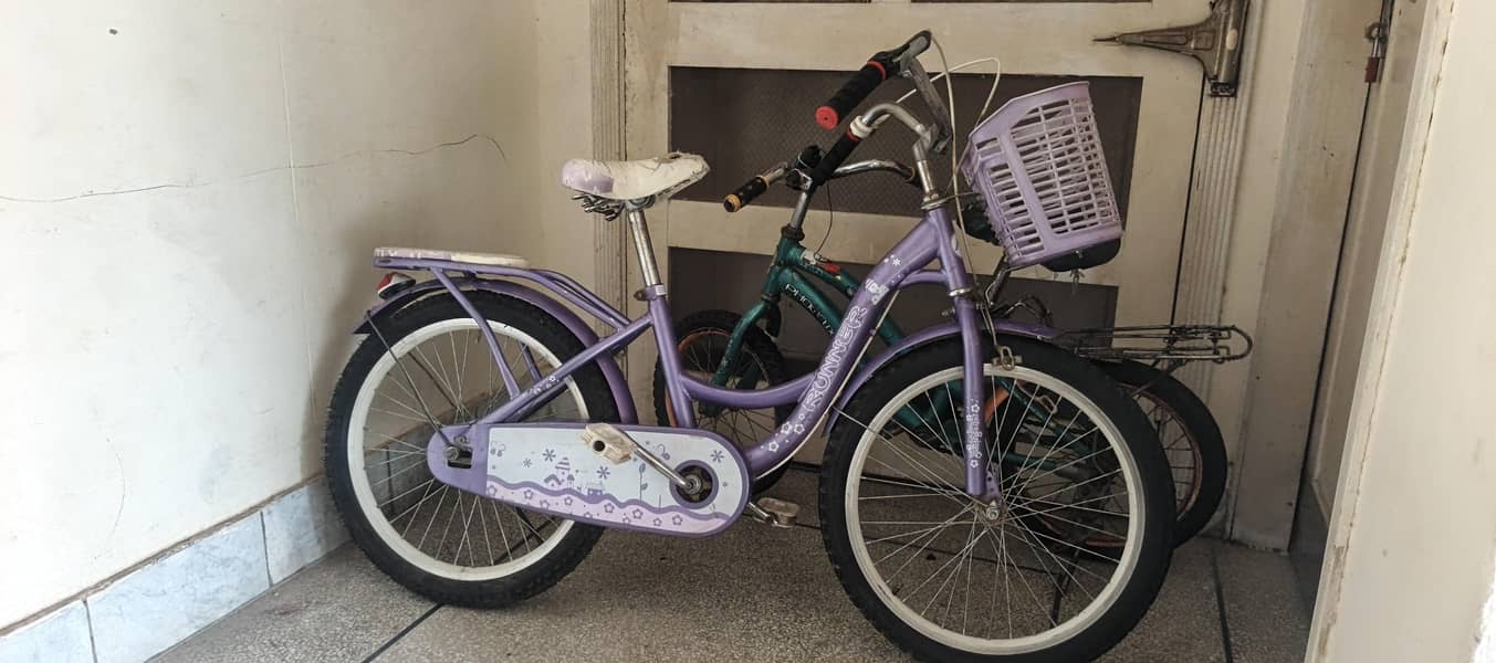bicycle 1