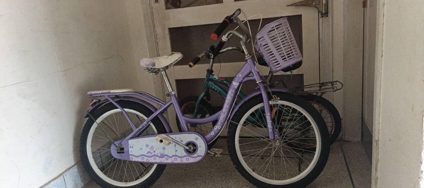 bicycle 2